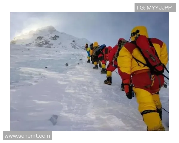 刘丽独家分享排球心得与技巧提升之路探索 刘丽独家分享排球心得与技巧提升之路探索