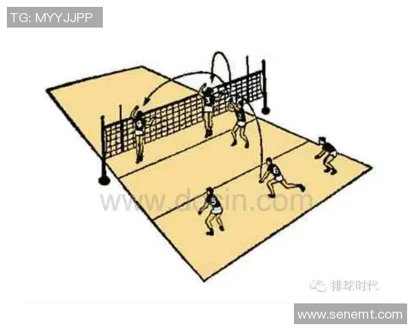 北京排球队的战术节奏分析与未来发展趋势探讨