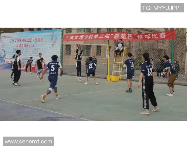 武汉排球队的团队协作之道：排球巨献背后的默契与拼搏精神探秘